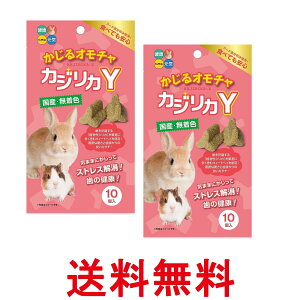 2Zbg nCybg JWJY 邨 10 nX^[ ETM t[h  ySK26954z