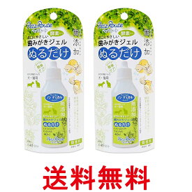 2個セット ペッツルート 歯みがきジェル 40ml 犬 猫 デンタルケア Petz Route 送料無料 【SK27058】