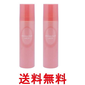 2個セット デミコスメティクス UEVO(ウェーボ) スプリングパフ 200g ヘアスタイリングフォーム 送料無料 【SK27090】