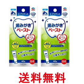 2個セット アース ペット エブリデント 歯みがきペースト 40g 送料無料 【SK27345】