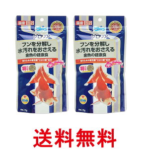 2Zbg L[ qJ vA 70g ̌NH  ̉a  ySK27573z