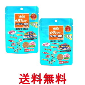 2Zbg L[ qJ _Jxr[ nCp[琬 20g t̉a  ySK27583z