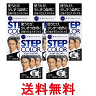 5個セット 花王 サクセス ステップカラー 110g 白髪染め 送料無料 【SK27607】