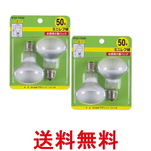 2�Z�b�g ���U�� RF5017502P �~�j���t�� R50 E17���� 50W 2�� �n�C�r�[�� �d�� YAZAWA �������� �ySK28263�z