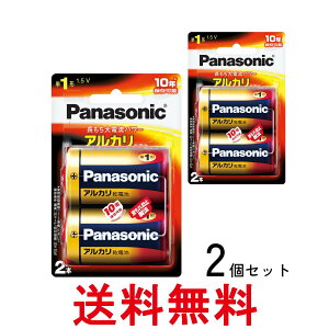 2�Z�b�g �p�i�\�j�b�N LR20XJ2B �P1�`�A���J�����d�r 2�{�p�b�N Panasonic �������� �ySK28265�z