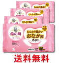 4個セット 小林製薬 命の母 カイロ じんわり温かい おなか用カイロ 10個入 衣類に貼るタイプ 送料無料 【SK28690】