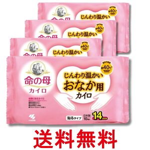 4Zbg ѐ ̕ JC 艷 ȂpJC 10 ߗނɓ\^Cv  ySK28690z