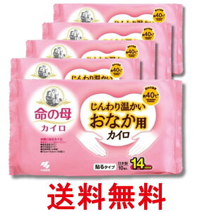 5Zbg ѐ ̕ JC 艷 ȂpJC 10 ߗނɓ\^Cv  ySK28691z