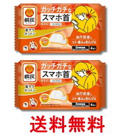 2個セット 小林製薬 桐灰 首ラクホットン ガッチガチなスマホ首などに 4枚入 送料無料 【SK28707】