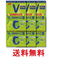 6個セット ノーベル VC-3000のど飴 マスカット味 90g 送料無料 【SK28993】
