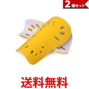 2Zbg ˓ TbJ[ K[X VK[h LbYp WjAp qp Np tbgT CG[ (ǗS) ySK30141z