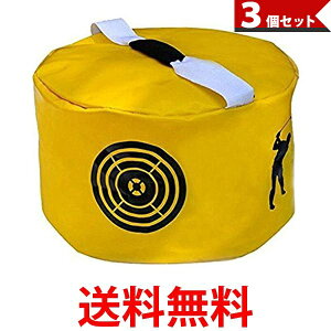 3個セット ゴルフ スイング バッグ 自宅 練習 トレーニング フォーム矯正 スイング 素振り インパクト 打点 送料無料 【SK31190】