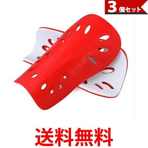 3Zbg ˓ TbJ[ K[X VK[h LbYp WjAp qp Np tbgT bh (ǗS) ySK31800z