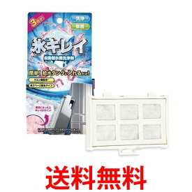 自動製氷機洗浄剤 氷キレイ 日立 RJK30 自動製氷機能付 冷蔵庫 交換用 浄水フィルター セット 送料無料 【SK31854】