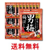 24個セット ノーベル製菓 男梅梅ぼし 52g 送料無料 【SK32164】