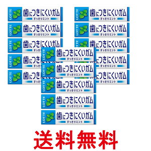 15�Z�b�g ���b�e �t���[�]�[���K�� �n�C�~���g 9���� �������� �ySK32538�z