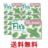 10個セット ロッテ Fits LINK オリジナルミント 12枚入 板ガム チューイングガム お菓子 送料無料 【SK32…