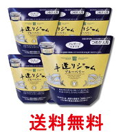 6個セット カンピー ザ・プレミアム 手造りジャム つめかえ用 ブルーベリー 500g 送料無料 【SK34202】