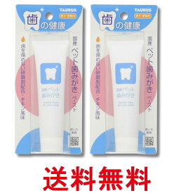 2個セット トーラス ペット歯みがきペースト チキン風味 38g 国産 犬 猫 デンタルケア 送料無料 【SK36293】