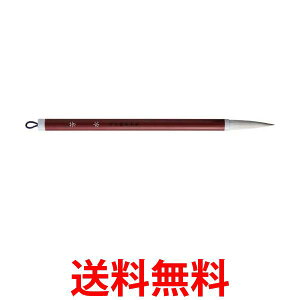 | JC307-3 M F 3  ySG40580z