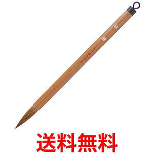 | JC332-3 M  3  ySG40598z