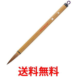 | JC337-4 M c 4  ySG40603z