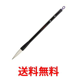 | JC339-3 M@ 3@  ySG40605z