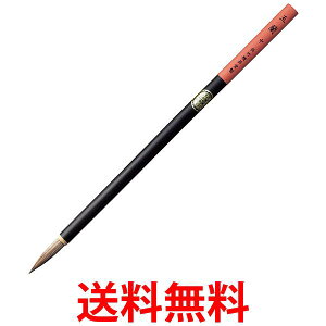 | JG305-406 npM ʗ   ySG41120z