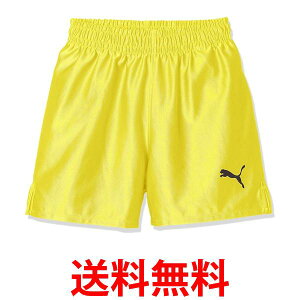 v[} TbJ[ Q[pc LIGA RA WjA LbY 729970 TCo[CG[/v[}ubN07 120  ySG44278z