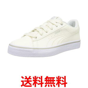 v[} Xj[J[ VR[g oN EBXp[zCg/O[oCIbg 25.0 cm  ySG44407z