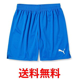 v[} n[tpc TbJ[ 729971 Y GNgbNu[l[h/zCg02 S  ySG44465z