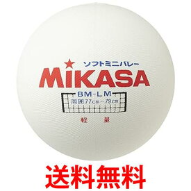ミカサ ソフトミニバレーボール 大 円周78cm 175g 軽量タイプ ホワイト BM-LM MIKASA 送料無料 【SG44590】