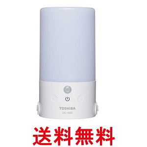  ZT[tLED^ h\ JIS IPX4 iK&F F dF @\t l&ÃZT[ LKL-4000 W  ySG60017z