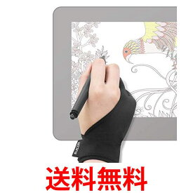 エレコム 液晶タブレット グローブ 2本指 手袋 Mサイズ 左利き右利き両用 TB-GV1M 送料無料 【SG63131】