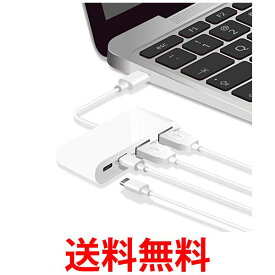 エレコム USBハブ USB Type c USB3.1Gen1 (Aメス2ポート Type-Cメス2ポート) バスパワーUSB PD対応MacBook iPad Surface GO 送料無料 【SG66299】