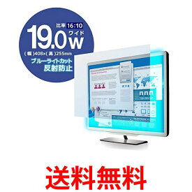 エレコム 液晶保護フィルム ブルーライトカット 19インチ 反射防止 1610 EF-FL19WBL 送料無料 【SG68212】