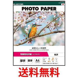 GR ʐ^p nCNIeB  A4 20 EJK-HQA420 zCg  ySG76415z