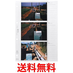 ハクバ スぺアルバム台紙 工事用 工事 用 アルバム 替台紙 A-L6WR 4穴L判6枚用 (スペア品) L 151~200枚 521566 送料無料 【SG76728】