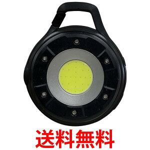 TV RITEX [d}`LEDCg 5Wی^ COB-WL002  ySG82023z