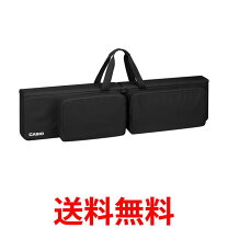 楽天市場】カシオ電子ピアノpx-sシリーズ/cdp-s100対応ソフトケース sc 