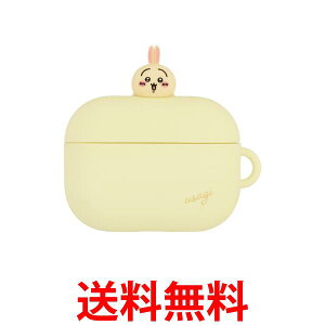 O}fB[Y  AirPods Pro(2)/AirPods Pro Ή VRP[X  CK-34C  ySG84369z