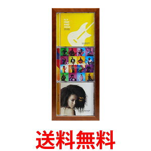 PR[ z CDfBXvCt[ CDWPbg3[\ ^eu^Cv uE O175×409mm PS-CD3T-BR  ySG84480z