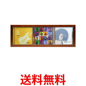 PR[ z CDfBXvCt[ CDWPbg3[\ Ru^Cv uE O460×159mm PS-CD3Y-BR  ySG84482z