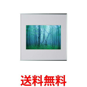PR[ z M[ A4 XNGA AN^Cv A~t[ Vo[ AGY-A4SQ-SV  ySG84549z