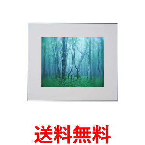 PR[ z M[  AN^Cv A~t[ Vo[ AGY-H-SV  ySG84558z