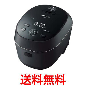 V[v ъ 3 IH l炵 PLAINLY ̉Ή ubN KS-HF05B-B  ySG84689z