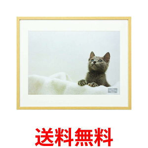 iJoV ؐʐ^z A3ii`jF-SW-117-N  ySG84884z