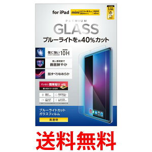 GR ipad A17 Pro mini7 mini6 KXtB KX u[CgJbg  \₷A TB-A24SFLGGBL  ySG96816z