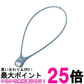 パナソニック BF-AF15P-DA ダスティーブルー 防滴機能付 LEDネックライト ボタン電池 送料無料 【SK00510】