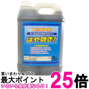 VZC ͂ 5L _knp  OzT[gC\vsA~34% MCP SHINSEI  ySK00647z